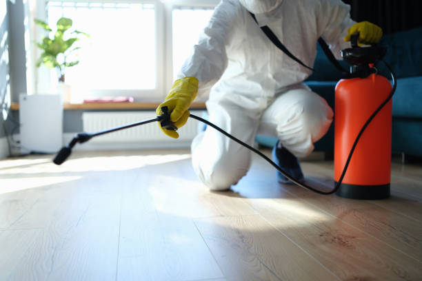 Reliable Odor Removal contractor in Saint Louis, MO by Trauma Clean Pros
